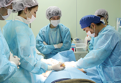 コンデンスリッチファット療法のセミナーを開催しました1