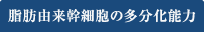 脂肪由来幹細胞の多分化能力