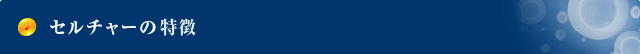 セルチャーの特徴