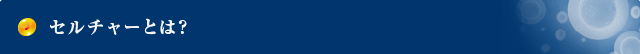 セルチャーとは