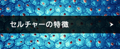セルチャーの特徴