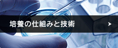 培養の仕組みと技術