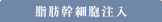 脂肪幹細胞注入