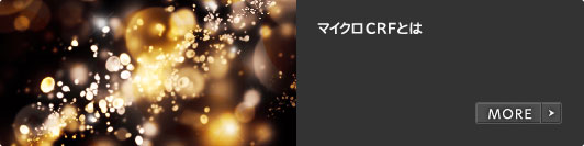 マイクロCRFとは